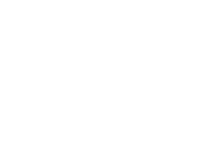 logo mr bricolage